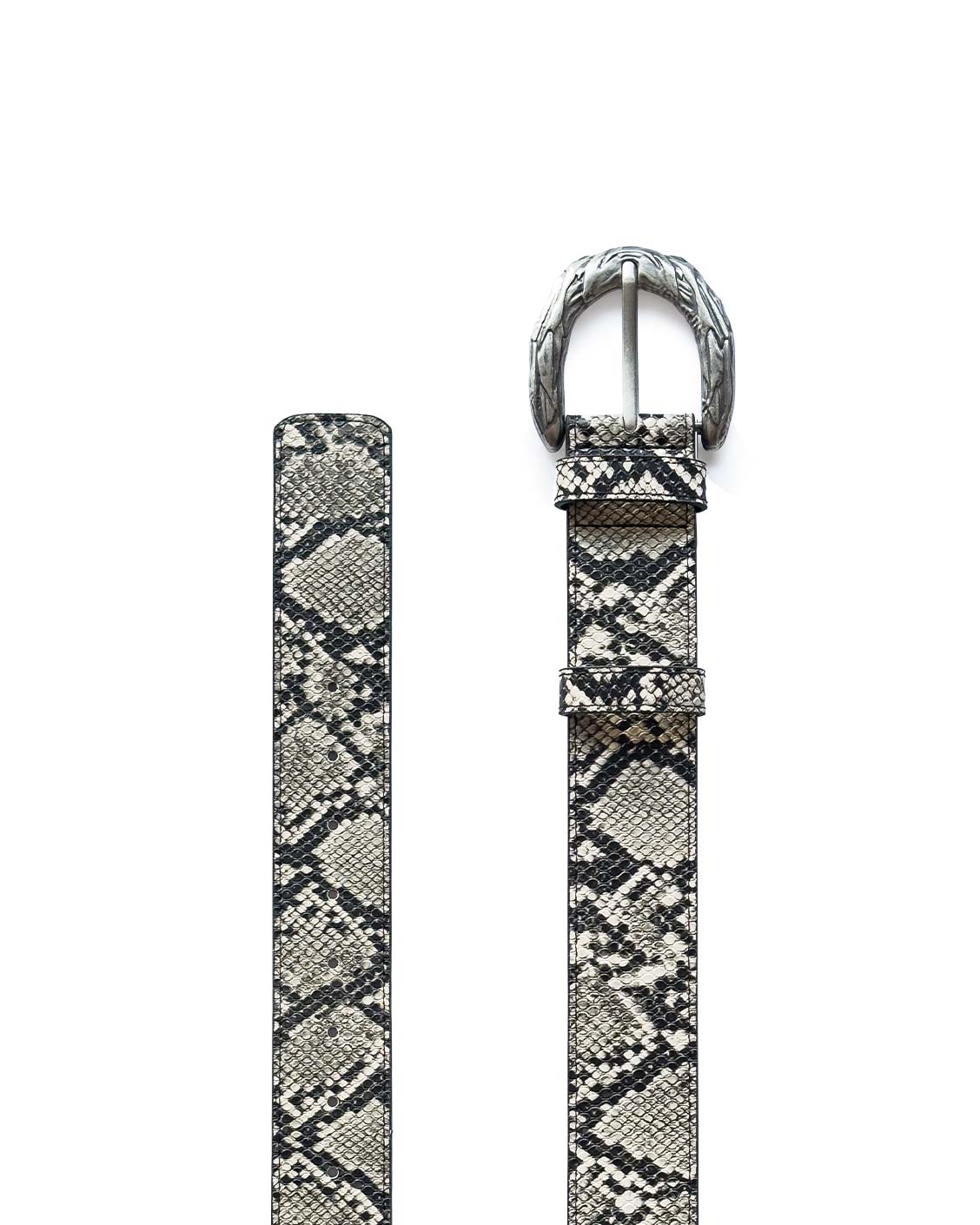 Imperial Belt Python