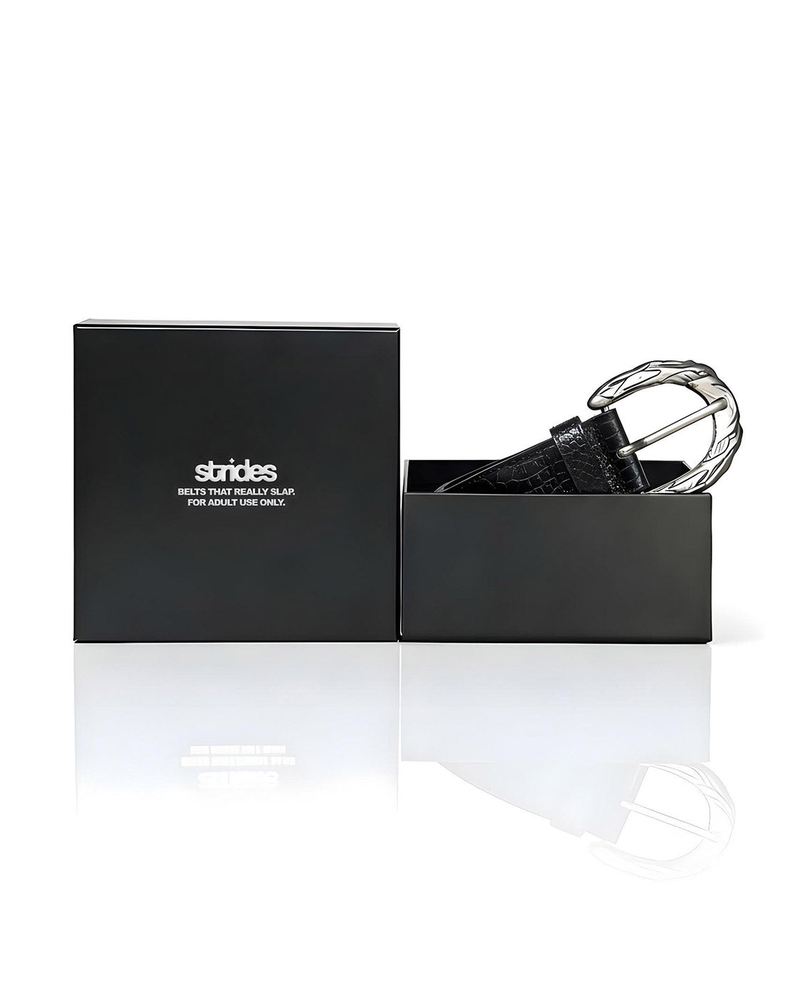 Black belt with silver buckle in a black box on a white background