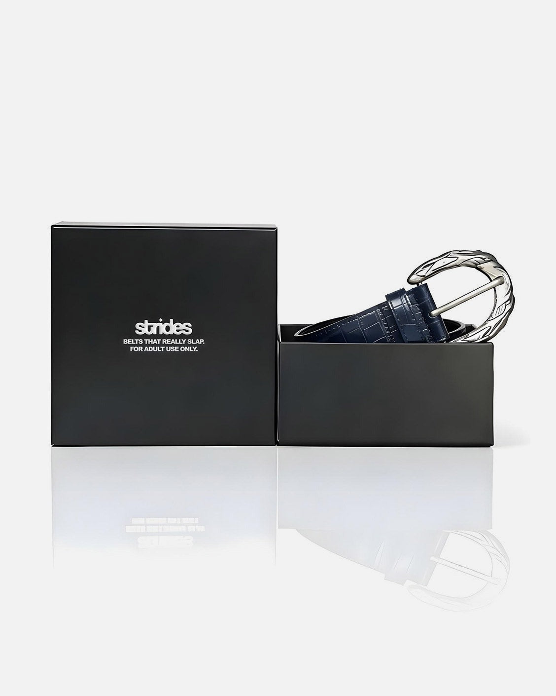 Black belt with silver buckle in a black box on a white background