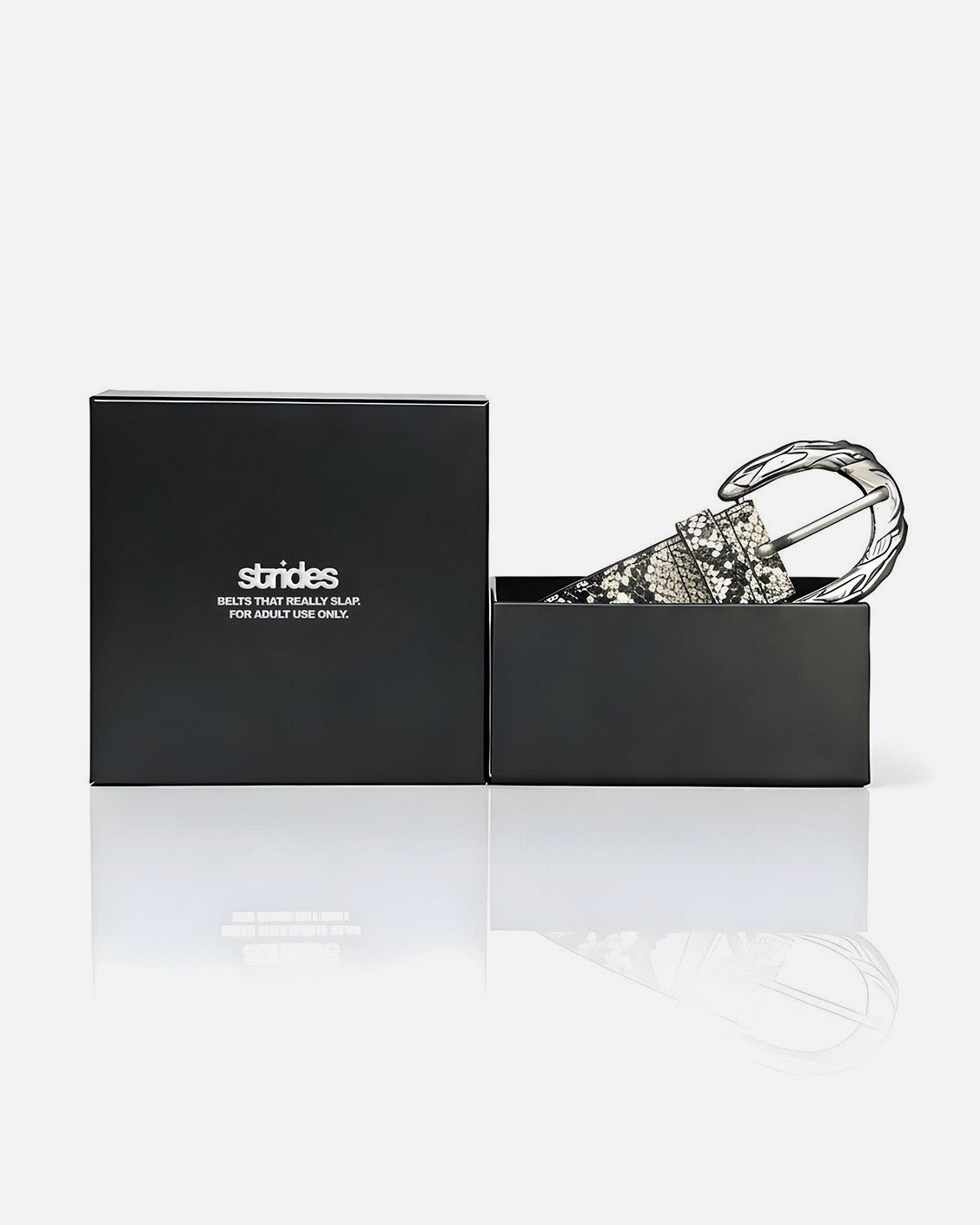 Black box with a belt inside on a white background