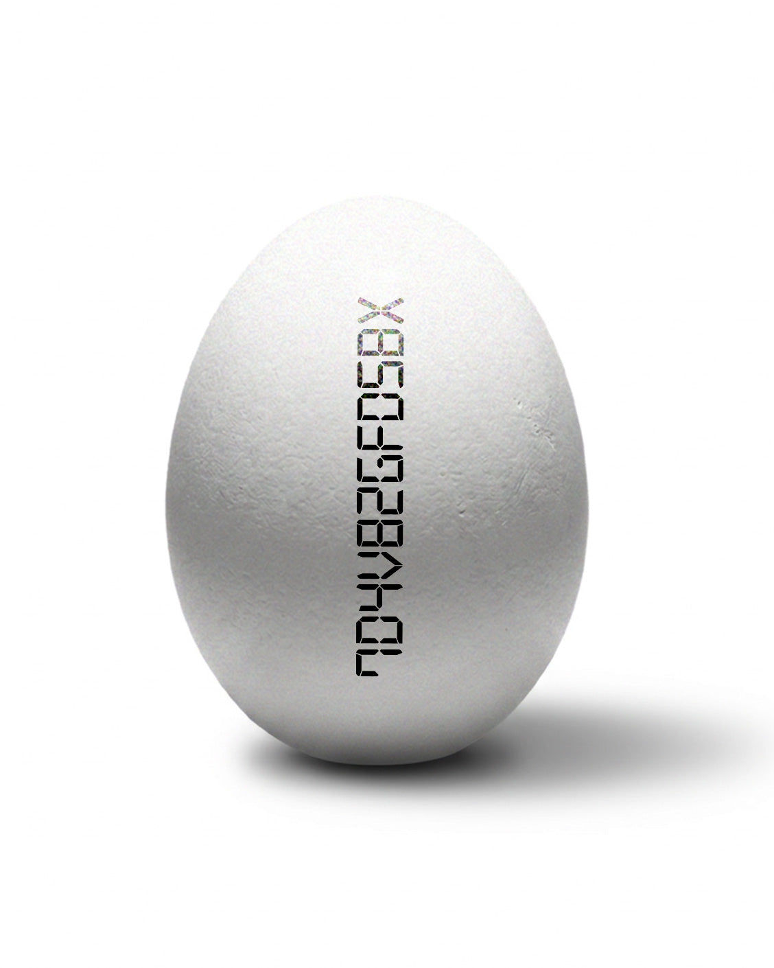 Echoes Knit Sweater Black